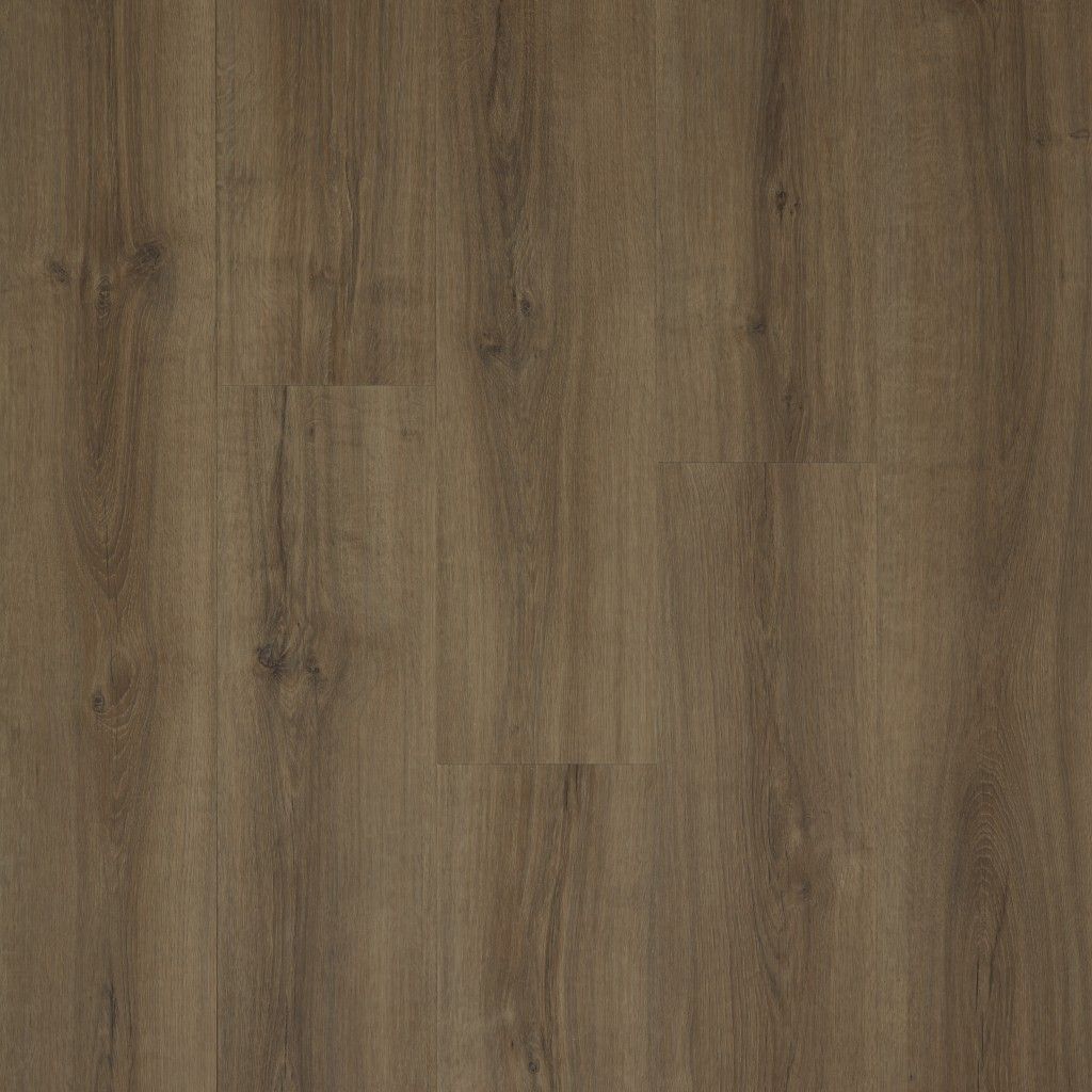 Kiri - Rigel Dryback